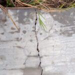 IMG-20260314-WA0073