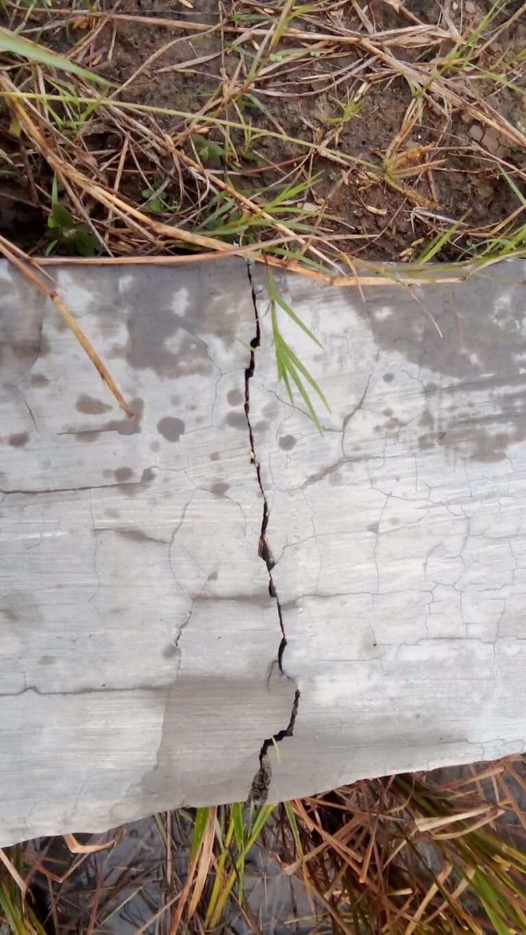 IMG-20260314-WA0073